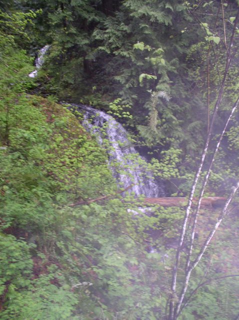 5.7.06 Wauna Point 006 